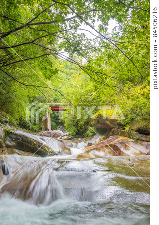 A mountain stream in the Fujigawachi Valley in Saiki City, Oita Prefecture 84506216