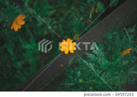 分區中的宇宙 分區中的宇宙 84507281