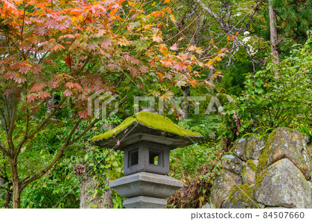Stone lanterns at Kosuge Shrine Stone lanterns at Kosuge Shrine 84507660