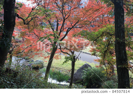 Autumn leaves of Kagawa irrigation memorial park Autumn leaves of Kagawa irrigation memorial park 84507814