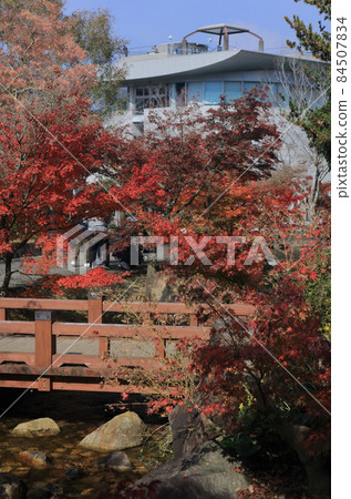 香川灌溉紀念公園秋葉 84507834