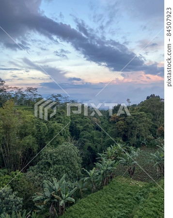 Tegallalang Rice Terraces, Bali, Indonesia - stock photo Tegallalang Rice Terraces, Bali, Indonesia - stock photo 84507923