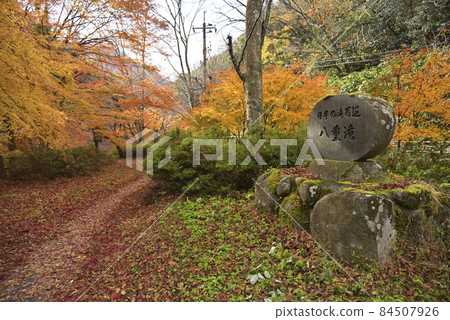 龍塚縣立自然公園散步道:八重山河沿岸的紅葉(島根縣雲南市掛屋町) 龍塚縣立自然公園散步道:八重山河沿岸的紅葉(島根縣雲南市掛屋町) 84507926