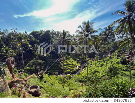 Tegallalang Rice Terraces, Bali, Indonesia - stock photo Tegallalang Rice Terraces, Bali, Indonesia - stock photo 84507955