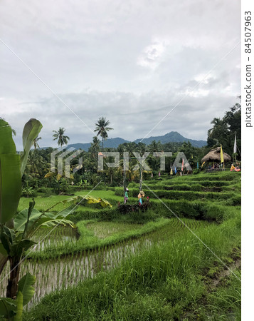 Tegallalang Rice Terraces, Bali, Indonesia - stock photo 84507963