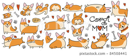 Corgi dogs set. Funny Puppies collection. Sketch for your design. 84508441
