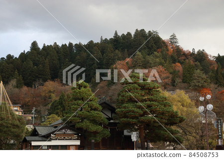 飛Tak高山 84508753