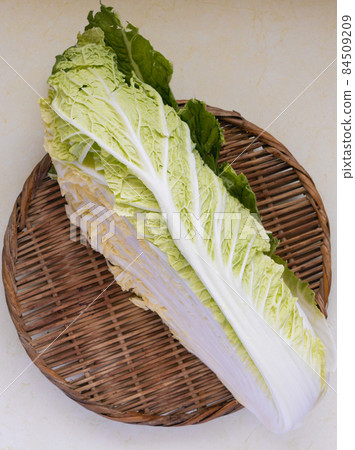 大白菜,垂直組合物 大白菜,垂直組合物 84509209