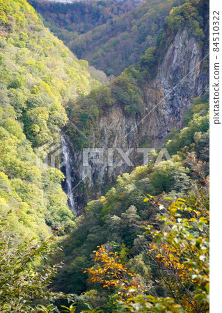 "Kanmandaki" in Shiga Kogen. Sufficient amount of water. The contrast between the rock surface and the forest. Change the color from green to yellow. 84510322