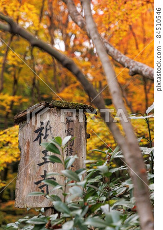 Goto temple autumn leaves 84510546