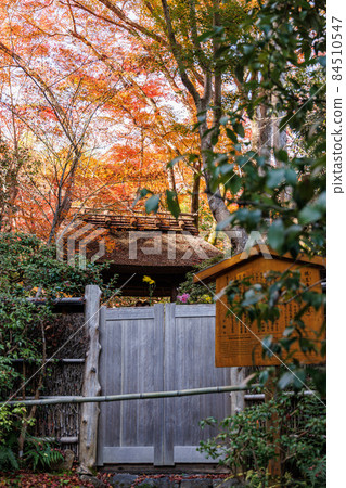 Goto temple autumn leaves 84510547