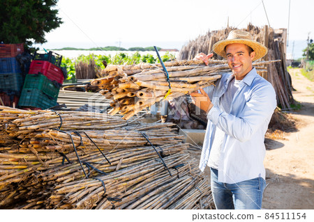 Employed worker carries bundles of bamboo sticks to work 84511154