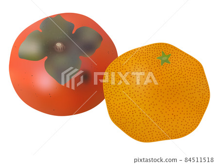 露天產品的成熟“柿子”和“早橙” 84511518