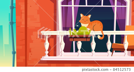 House facade with vintage balcony, window and cat 84512573
