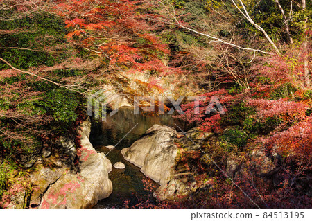 津市河內溪谷紅葉 津市河內溪谷紅葉 84513195