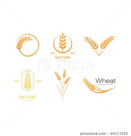 Wheat illustration design Wheat illustration design 84513283
