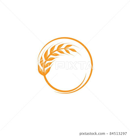 Wheat illustration design 84513297