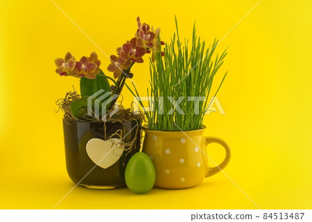 Easter holiday or spring background with wheat seedlings 84513487