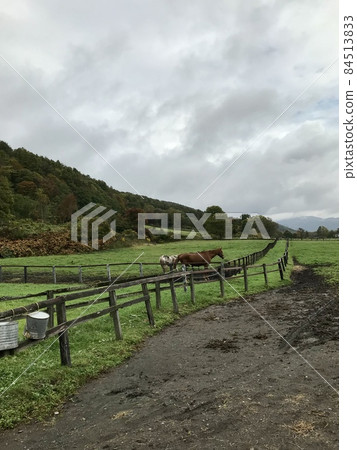 牧場風光 84513833