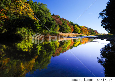 嵐山溪谷的紅葉[埼玉縣] 84513947