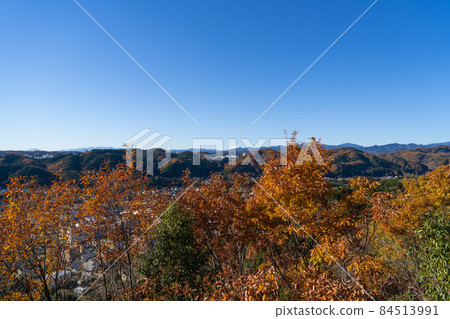 Mt. Fuji seen from the summit of Mt. Tenran (Oku Musashi Nature Park) Mt. Fuji seen from the summit of Mt. Tenran (Oku Musashi Nature Park) 84513991