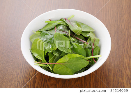 嬰兒葉 嬰兒葉 84514069