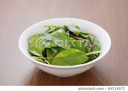 嬰兒葉 嬰兒葉 84514072