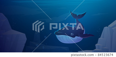Blue whale swim in ocean space with rocks around Blue whale swim in ocean space with rocks around 84515674