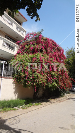 India trip, trip, solo trip, meal, cityscape, tourist destination 84515778