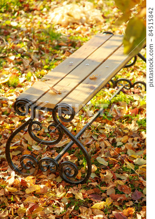 Industry making a forging bench in the fall in the garden in the foliage under the tree. Autumn garden background Industry making a forging bench in the fall in the garden in the foliage under the tree. Autumn garden background 84515842