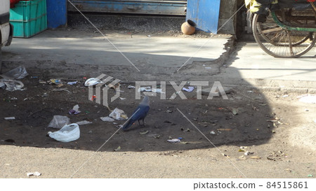 India trip, trip, solo trip, meal, cityscape, tourist destination 84515861