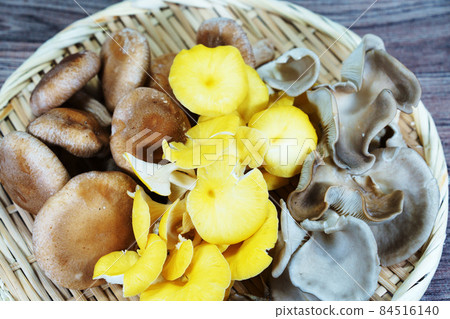 3 kinds of mushrooms 84516140