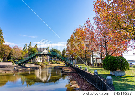 Kaizu City, Gifu Prefecture Autumn Aqua World Mizugo Park Center with beautiful autumn leaves of sweetgum Kaizu City, Gifu Prefecture Autumn Aqua World Mizugo Park Center with beautiful autumn leaves of sweetgum 84516558