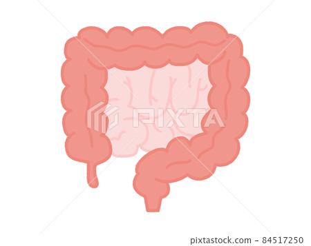 대장과 소장·심플 - 스톡일러스트 [84517250] - PIXTA