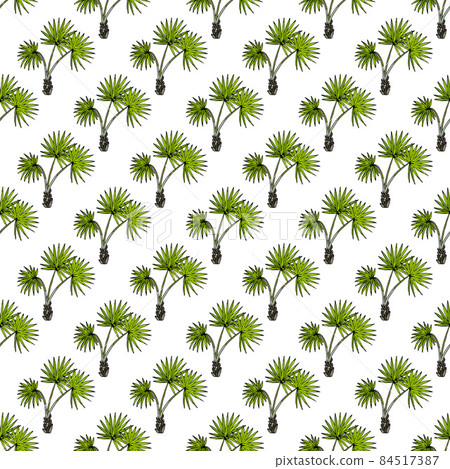 Seamless pattern with Sabal palm Seamless pattern with Sabal palm 84517387