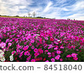 Awaji Hanasagiki 84518040