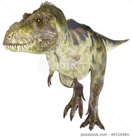 T-REX ☆ Tyrannosaurus ☆ Tyrannosaur 84518464