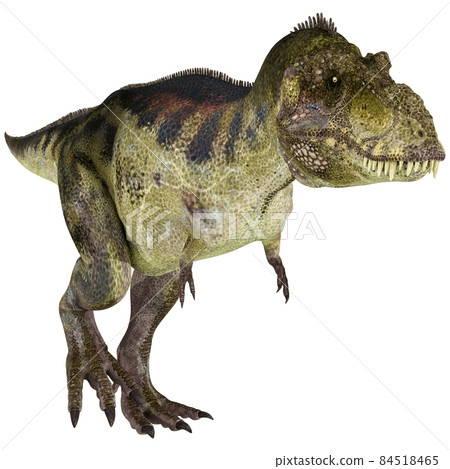 T-REX ☆ Tyrannosaurus ☆ Tyrannosaur T-REX ☆ Tyrannosaurus ☆ Tyrannosaur 84518465