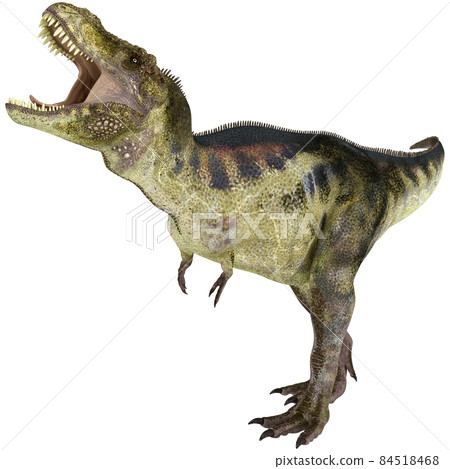 T-REX ☆ Tyrannosaurus ☆ Tyrannosaur - Stock Illustration