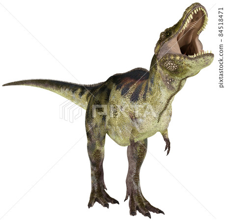 T-REX ☆ Tyrannosaurus ☆ Tyrannosaur - Stock Illustration