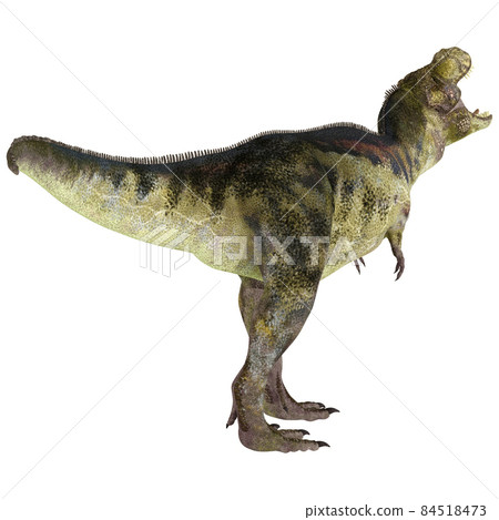 T-REX ☆ 霸王龍 ☆ 霸王龍 84518473