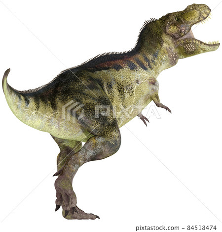 T-REX ☆ 霸王龍 ☆ 霸王龍 T-REX ☆ 霸王龍 ☆ 霸王龍 84518474