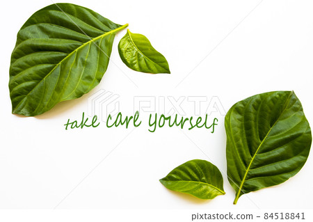 take care your self message card with leaf arrangement flat lay postcard style 84518841