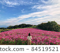 Cosmos and women 84519521