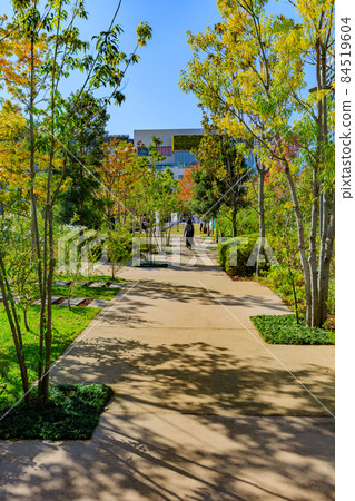 東京都江東區有明花園 84519604