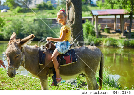 Little girl in the saddle riding on a donkey, in contact farm zoo Little girl in the saddle riding on a donkey, in contact farm zoo 84520326