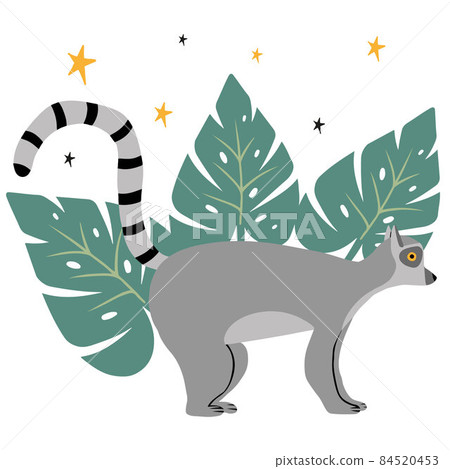 Childrens poster with lemur and monstera leaves. Hand-drawn limur in cartoon style. The illustration is suitable for cards, labels and posters for the nursery. Childrens poster with lemur and monstera leaves. Hand-drawn limur in cartoon style. The illustration is suitable for cards, labels and posters for the nursery. 84520453