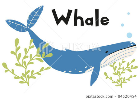 Childrens poster with blue whale and seaweed. Hand drawn illustration of cute whale in cartoon style. The illustration is suitable for cards, prints, labels and posters for the nursery. Childrens poster with blue whale and seaweed. Hand drawn illustration of cute whale in cartoon style. The illustration is suitable for cards, prints, labels and posters for the nursery. 84520454