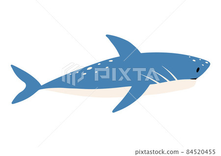 Childrens illustration of cute shark isolated on white background. Hand-drawn blue shark in cartoon style. Childrens illustration of cute shark isolated on white background. Hand-drawn blue shark in cartoon style. 84520455