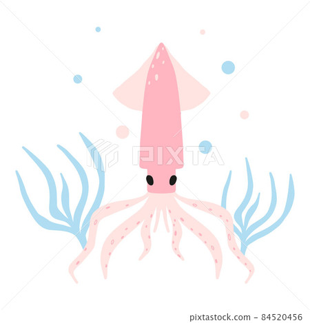 Childrens illustration of squid with seaweed. Hand drawn poster with cute squid in cartoon style. The illustrations are suitable for postcards, labels and posters for the nursery. 84520456